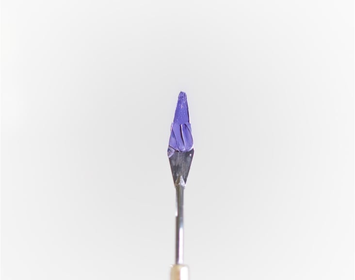 Fusce suscipit risus tempor, blandit urna at, laoreet ex 1